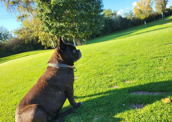 リゾート Bachhof